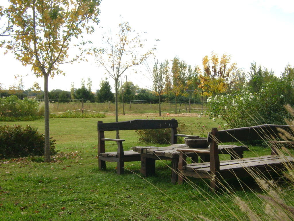 El Ranchito De Areco Villa San Antonio de Areco Dış mekan fotoğraf