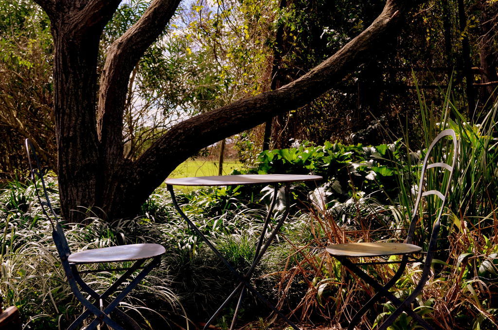El Ranchito De Areco Villa San Antonio de Areco Dış mekan fotoğraf